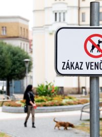 Zákaz venčení psů - cedulka na Smetanově náměstí v Pardubicích