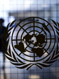 Sídlo OSN v New Yorku, Organizace spojených národů