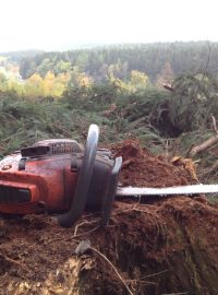 Kácení stromů nedaleko biatlonového areálu u Nového Města na Moravě. Na tomto místě bude v budoucnu obří zásobník sněhu