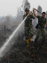 Indonéští vojáci bojují s plameny na ostrově Borneo