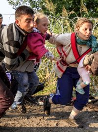 uprchlíci, migranti, maďarská hranice, imigranti, běženci