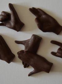 Usnadnit výuku znakové řeči může čokoláda z Brna