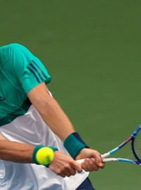 Tomáš Berdych postoupil v Dubaji do čtvrtfinále