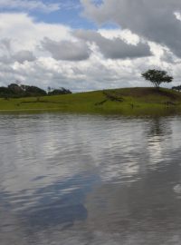 Ne všechnu půdu v Amazonii pokrývá vegetace. Odlesňování třeba kvůli získávání pastvin je tu časté