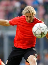 Případnou výhrou ve finále Ligy mistrů si fotbalista Fernando Torres splní svůj dětský sen