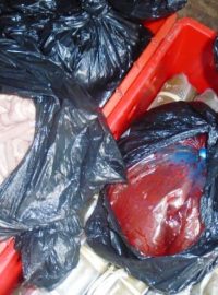 Státní veterinární správa zadržela zásilku zapáchajícího masa směřujícího do tržnice SAPA