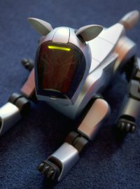 Robopes Aibo