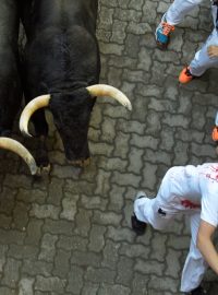 Při tradičním běhu s býky ulicemi města Pamplona se i letos zranili lidé