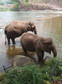 Sloni, vodopády Tadlo