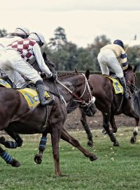 Velká pardubická 2016