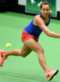 Tenistka Barbora Strýcová