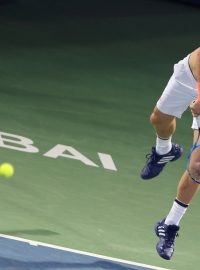 Tenista Tomáš Berdych si v Dubaji dvakrát zahrál o titul, tentokrát ale skončil na raketě Haaseho už ve druhém kole