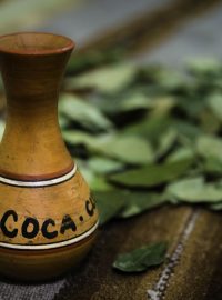 V Andské oblasti podél pacifické strany jihoamerického kontinentu se koka užívá v lidovém léčitelství