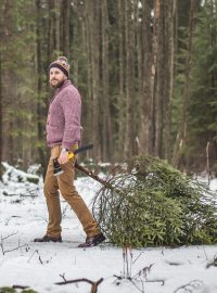 Muž krade v lese vánoční stromek | Foto: Profimedia