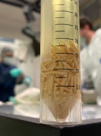 Biologická laboratoř Kriminalistického ústavu