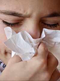 Nemoc, rýma, nachlazení, únava, alergie, chřipka (ilustrační foto)