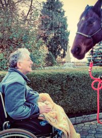Terapeutický kůň Sagi v domově pro seniory v Chýnově