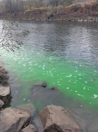 Vyšetřovací pokus v řece Bečvě