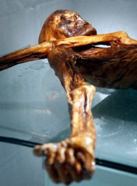 Ötzi, přírodní mumie stará přibližně 5300 let, nalezená v roce 1991 na italské straně hranic v Ötztalských Alpách, je dnes vystavena v muzeu v Bolzanu