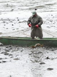 rybaření ilustrační foto