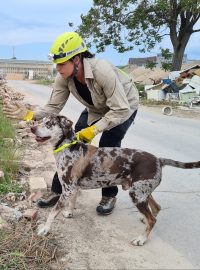 Cvičitelé záchranářských psů našli v areálu brněnské Zbrojovky unikátní prostor k výcviku