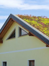 Zelená střecha (ilustrační foto)