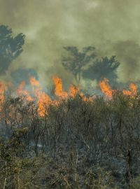 Požár amazonského deštného pralesa