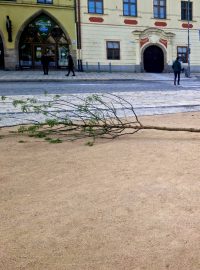 Jerlínům se na jihlavském náměstí příliš nedaří
