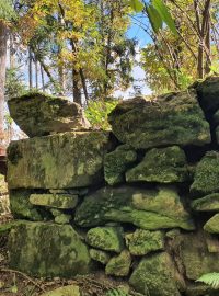 Archeolog Jiří Havlice u pozůstatků šibenice nad Rožmberkem nad Vltavou