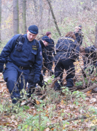 Pátrání Zdiby - v kopci se pátrá špatně