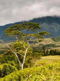 Krajina vnitrozemské provincie Bukidnon v severním Mindanaou na Filipínách.