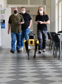 Robopes SPOT procházející se po fakultních chodbách
