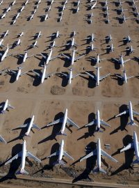 Letadla odstavená v poušti lákají chřestýše, štíry i ptáky