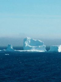 Ke kanadskému městečku Ferryland na ostrově Newfoundland připlul obří ledovec.