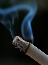 Kouření, cigarety (ilustrační foto)