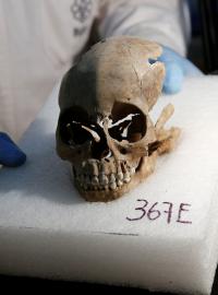 Jedna z lebek nalezená v chrámu Templo Mayor
