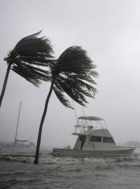 Přístav v městské čtvrti Coconut Grove v Miami během hurikánu Irma.