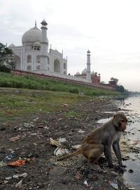 Znečištěné břehy řeky Jamuna před Tádž Mahalem