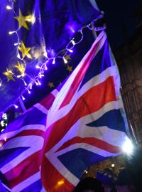 Přestože si většina Britů zvolila odchod z EU, před budovou parlamentu v Londýně se sešla řada odpůrců brexitu.