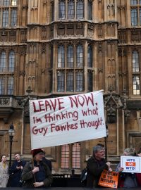 Příznivci brexitu protestují před britským parlamentem v Londýně. Zdroj: Reuters/DYLAN MARTINEZ