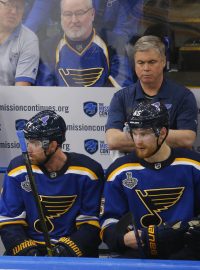 Lavička St. Louis Blues ve finále Stanley Cupu