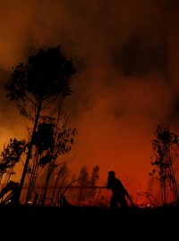 Hasiči bojují s lesním požárem Národního parku Sebangau v Indonésii