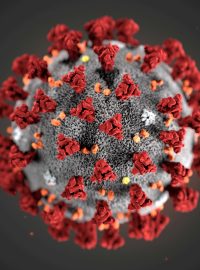 Ilustrace koronaviru, kterou vytvořilo americké Centrum pro kontrolu a prevenci nemocí
