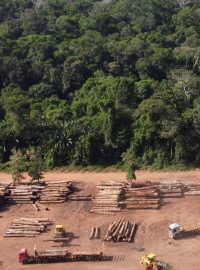 Hromady legálně pokáceného dřeva v amazonském deštném pralese