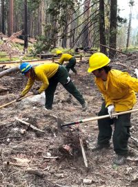 Pracovníci parku se snažili les ochránit před dalším šířením požáru