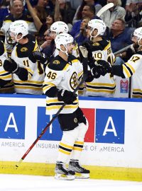 David Krejčí dostává gratulaci po gólu v zápasu Boston Bruins proti Tampa Bay Lightning