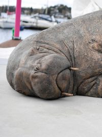 Podle sochařky má socha připomínat, že úřední rozhodnutí někdy můžou odporovat zdravému rozumu