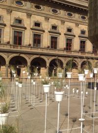 Botanický labyrint z léčivých rostlin před Národní divadlem