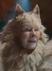 Judi Denchová ve snímku Cats
