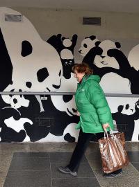 Podchod u metra stanice Ládví byl ještě před dvěma lety šedivý a špinavý. Umělkyně Josefína Jonášová ho ale vyzdobila pandami.
